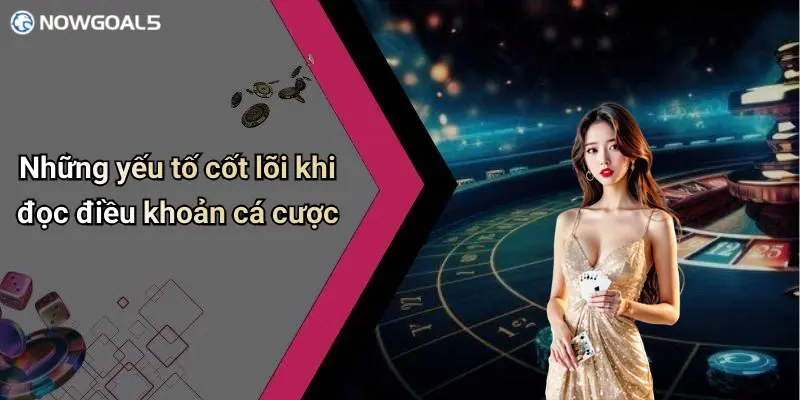 Những yếu tố cốt lõi khi đọc điều khoản cá cược