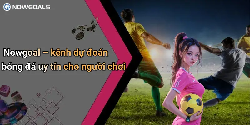 Nowgoal – kênh dự đoán bóng đá uy tín cho người chơi