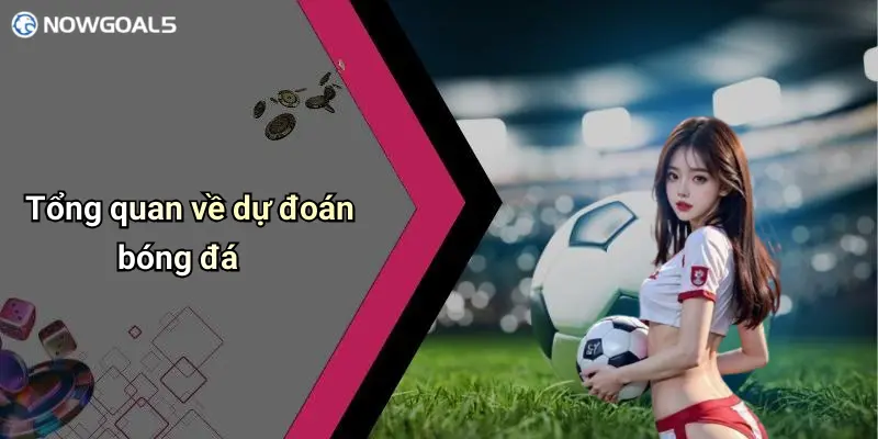 Tổng quan về dự đoán bóng đá