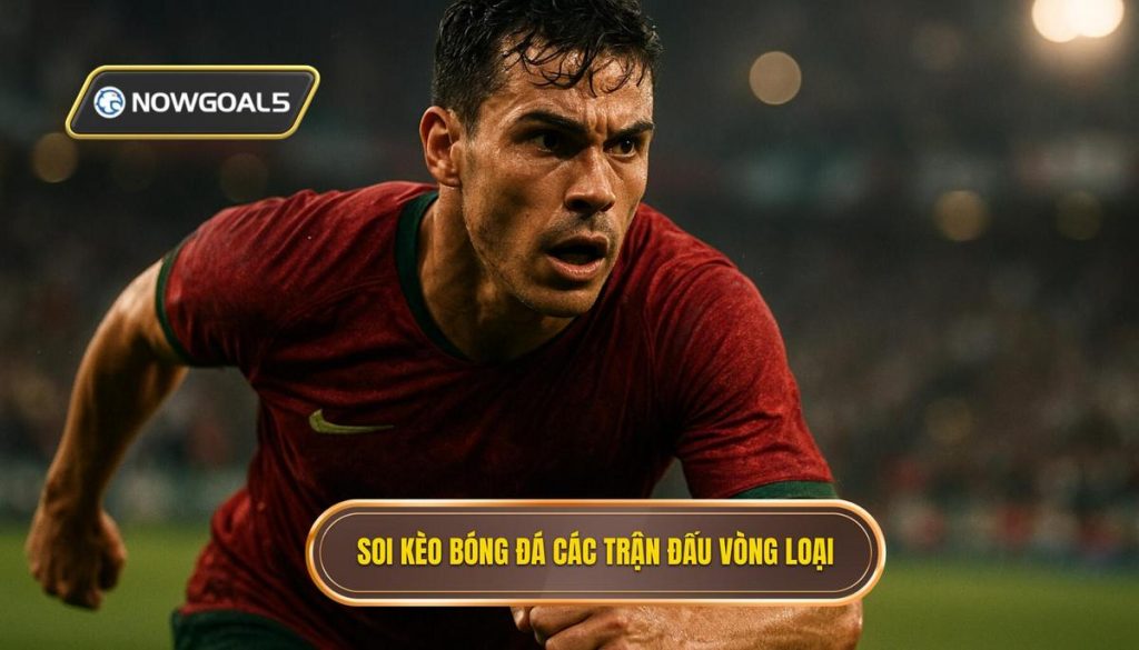 Soi kèo bóng đá các trận đấu vòng loại