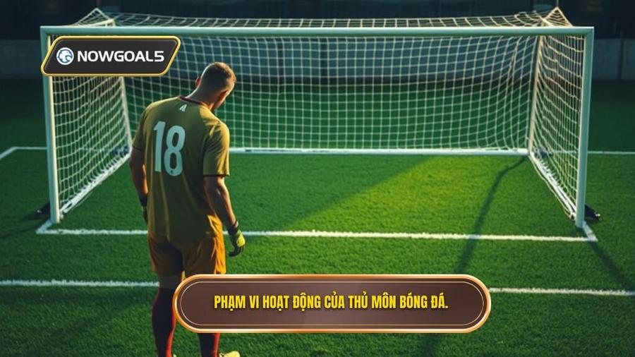 1. Phạm vi hoạt động của thủ môn bóng đá.